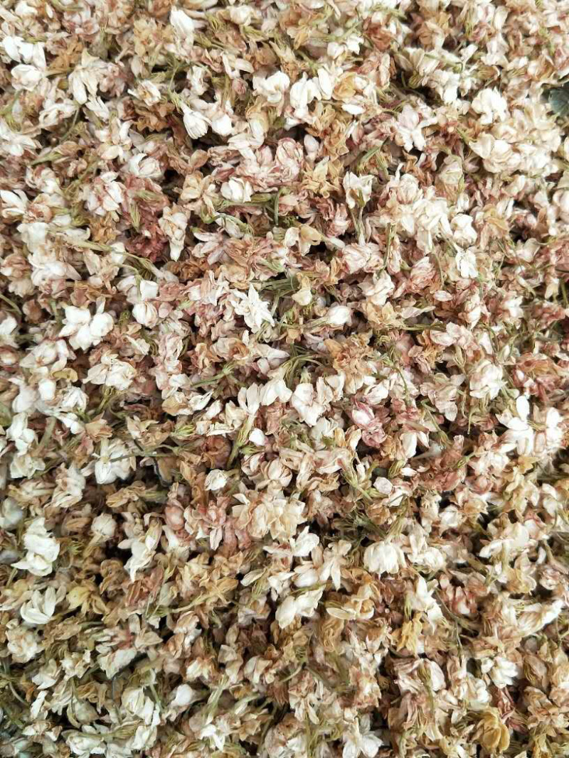 茉莉花茶【包邮】三斤起发货可批量可零售量大从优