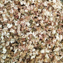 茉莉花【包邮】三斤起发货可批量可零售量大从优