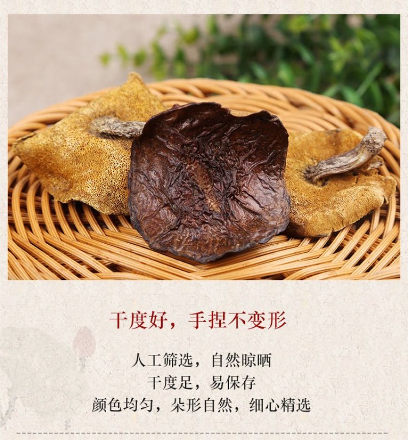 食用菌干货