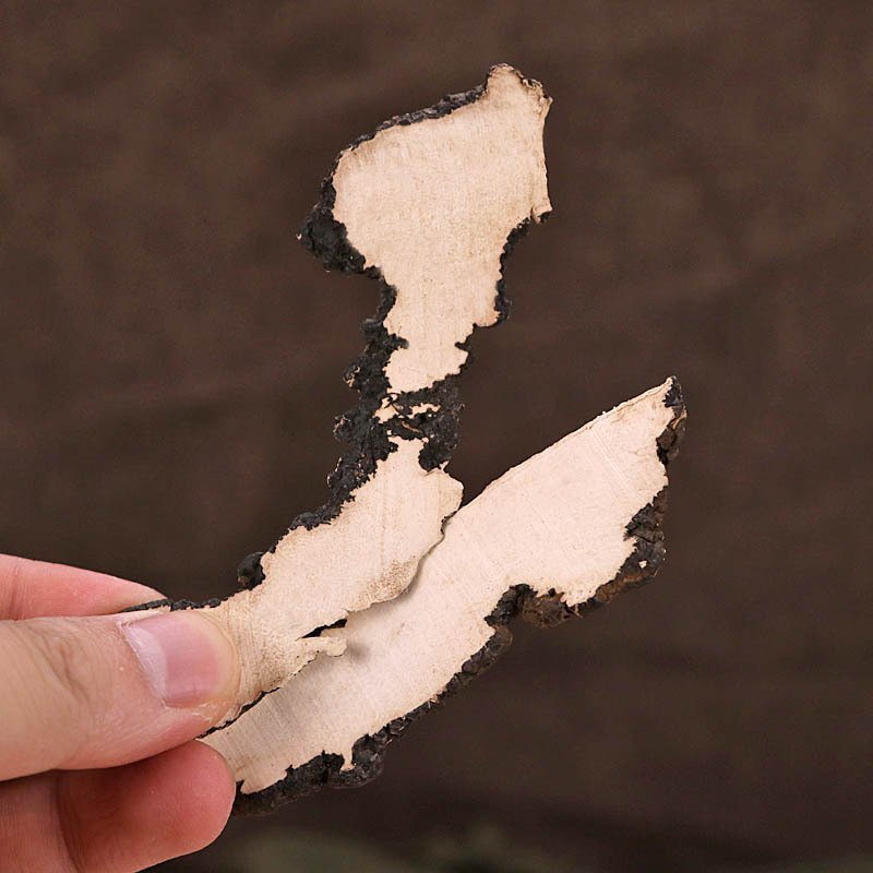 猪苓无硫净货猪苓产地直销量大从优各种规格品质保证