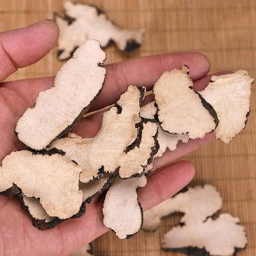 猪苓无硫净货猪苓产地直销量大从优各种规格品质保证
