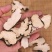 猪苓无硫净货猪苓产地直销量大从优各种规格品质保证