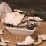 猪苓无硫净货猪苓产地直销量大从优各种规格品质保证