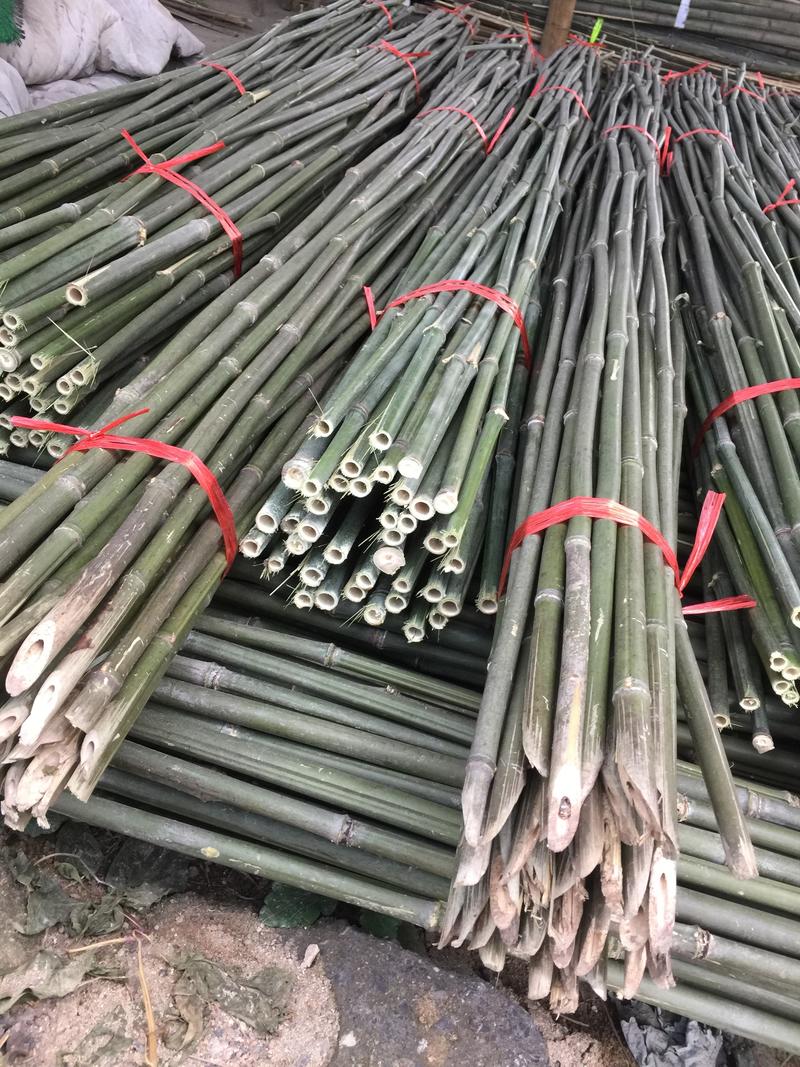 产地直销2.2米，2.5米，3米菜架竹，金竹，毛竹