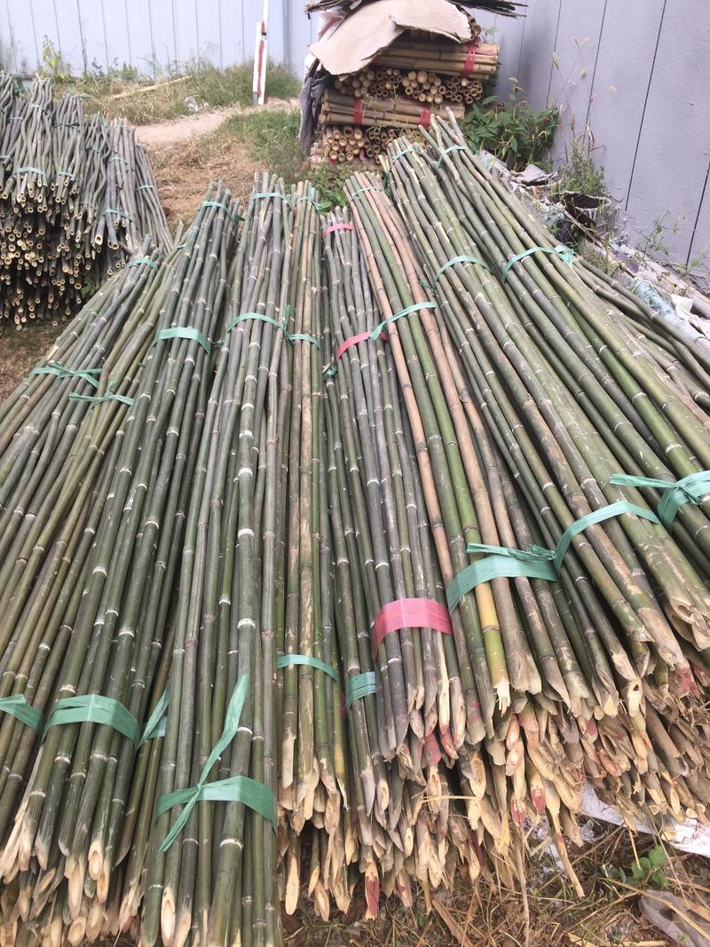 产地直销2.2米，2.5米，3米菜架竹，金竹，毛竹