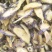 土黄莲，八角刺黄莲纯野生片干品产地直销，货量充足