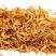 虫草花袋装批发可供大货产地直销量大从优