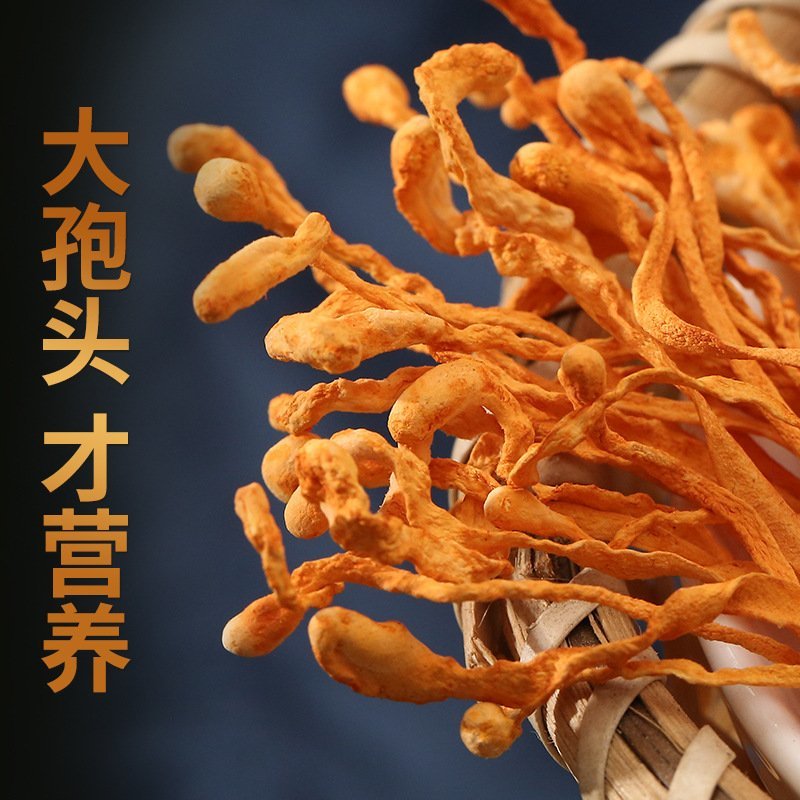虫草花袋装批发可供大货产地直销量大从优