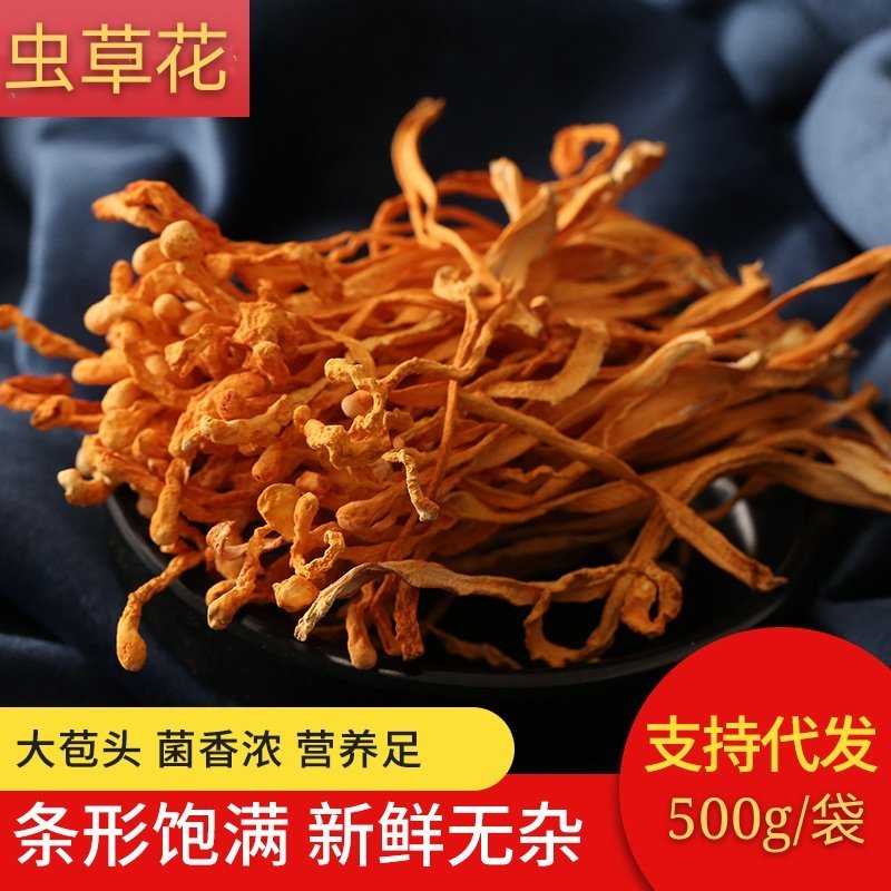 虫草花袋装批发可供大货产地直销量大从优