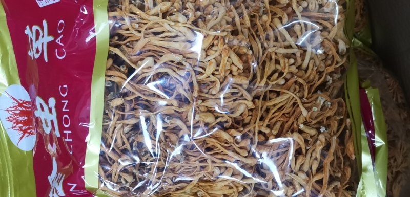 虫草花袋装批发可供大货产地直销量大从优