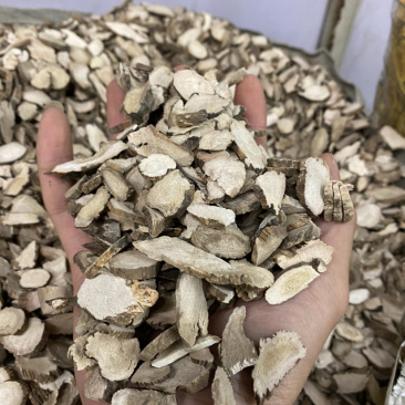 水菖蒲各人需求拿货、都是好货