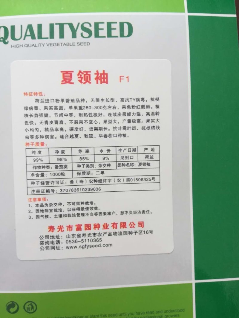西红柿种子抗高温硬粉抗病大番茄种子番茄种孑
