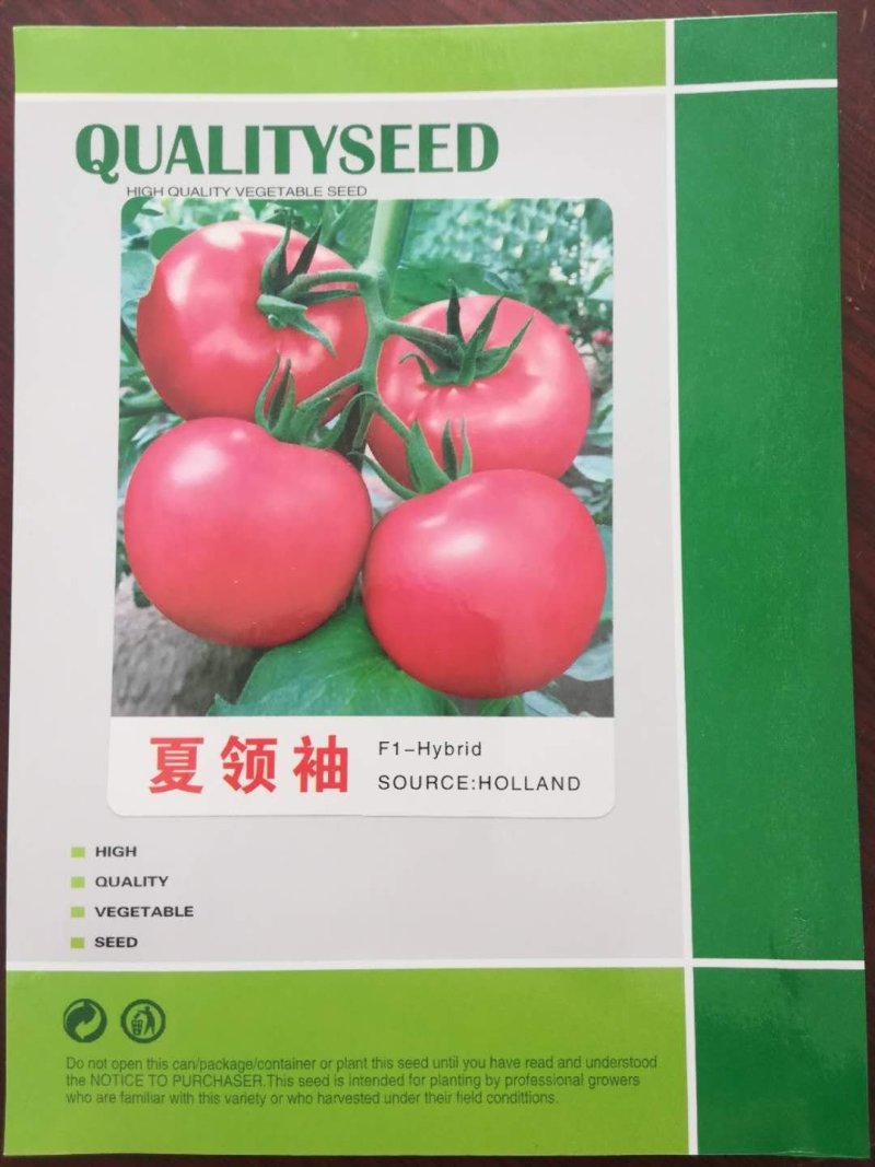 西红柿种子抗高温硬粉抗病大番茄种子番茄种孑