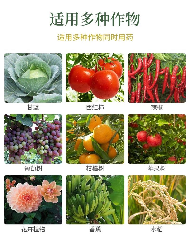 进口以色列拉姆拉翠姆矿质磷酸二氢钾增产营养叶面肥通用型
