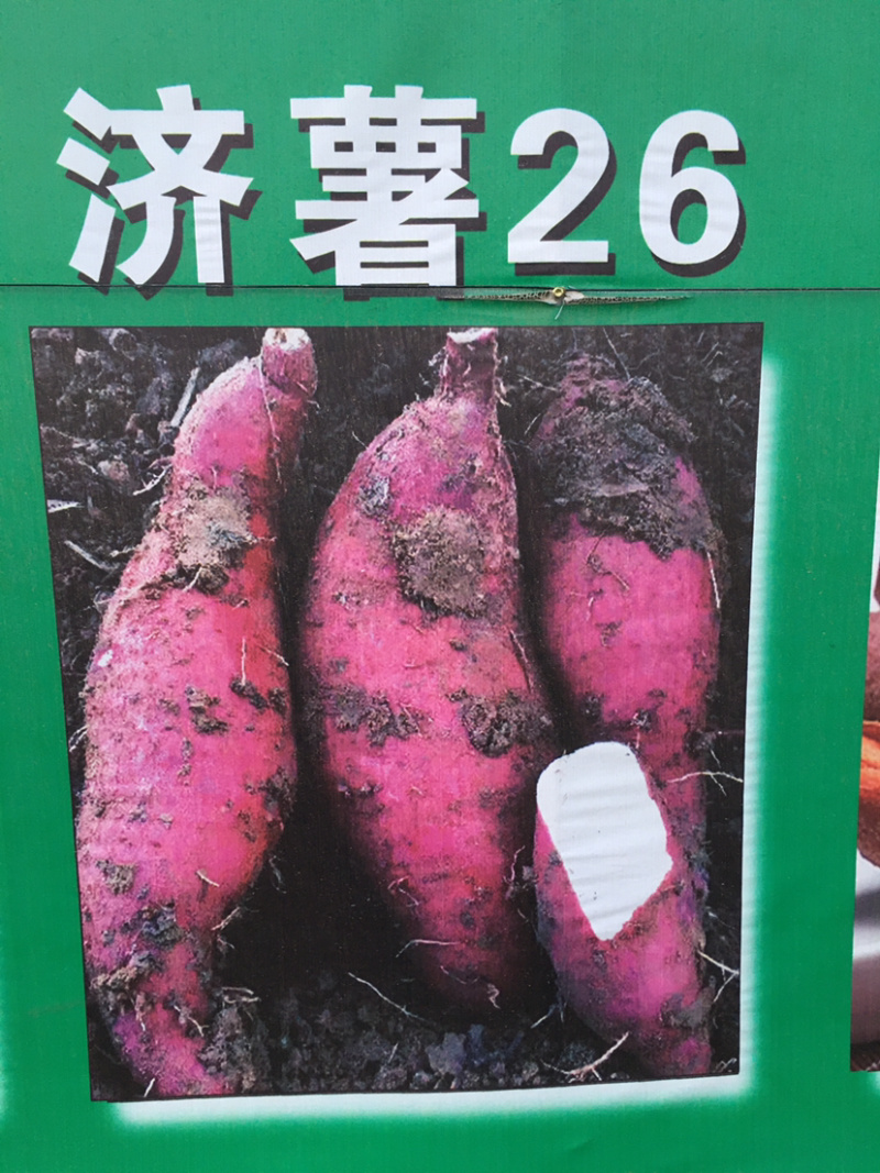 纯手工红薯粉条，粉面，量大从优，厂家直销。