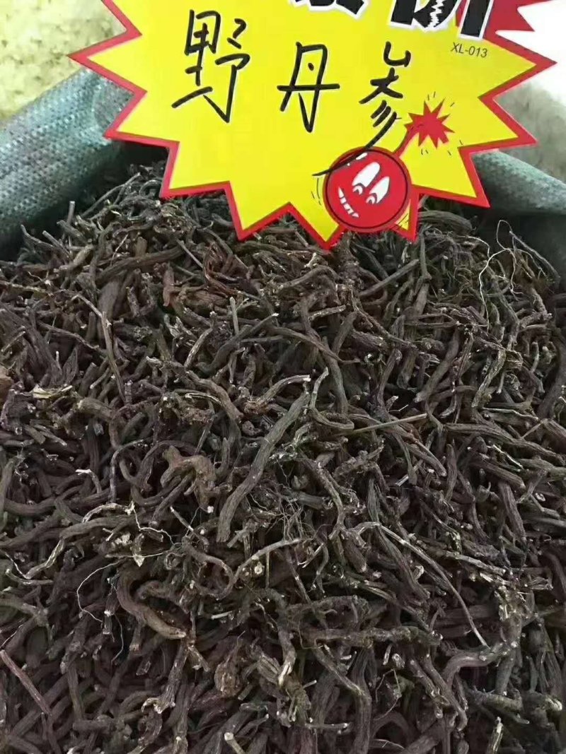 【产地直销】云南丹参野生丹参纯丹参粉包邮