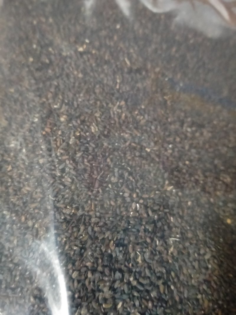 车前子！规格齐全！产地直销一手货源价格优！