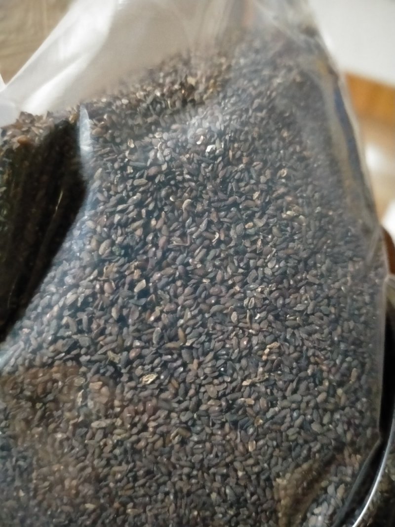 车前子！规格齐全！产地直销一手货源价格优！