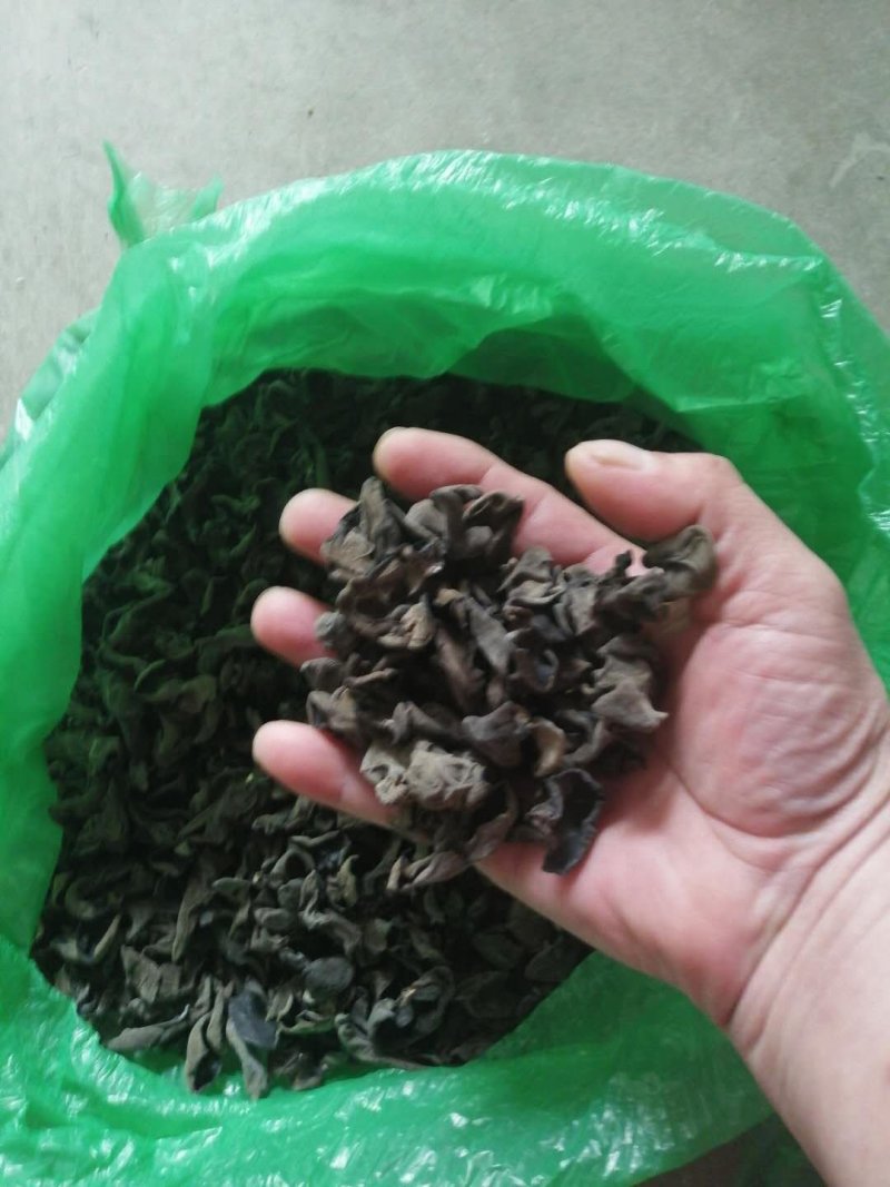 （包邮）东北黑木耳，特级，无味，敢比质量，可送广告布。