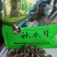 （包邮）东北黑木耳，特级，无味，敢比质量，可送广告布。