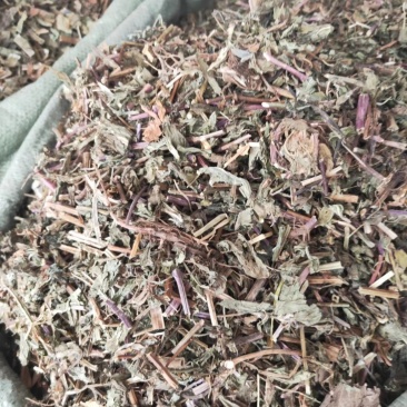 薄荷野生薄荷，量多优惠产地直销。。。。。。