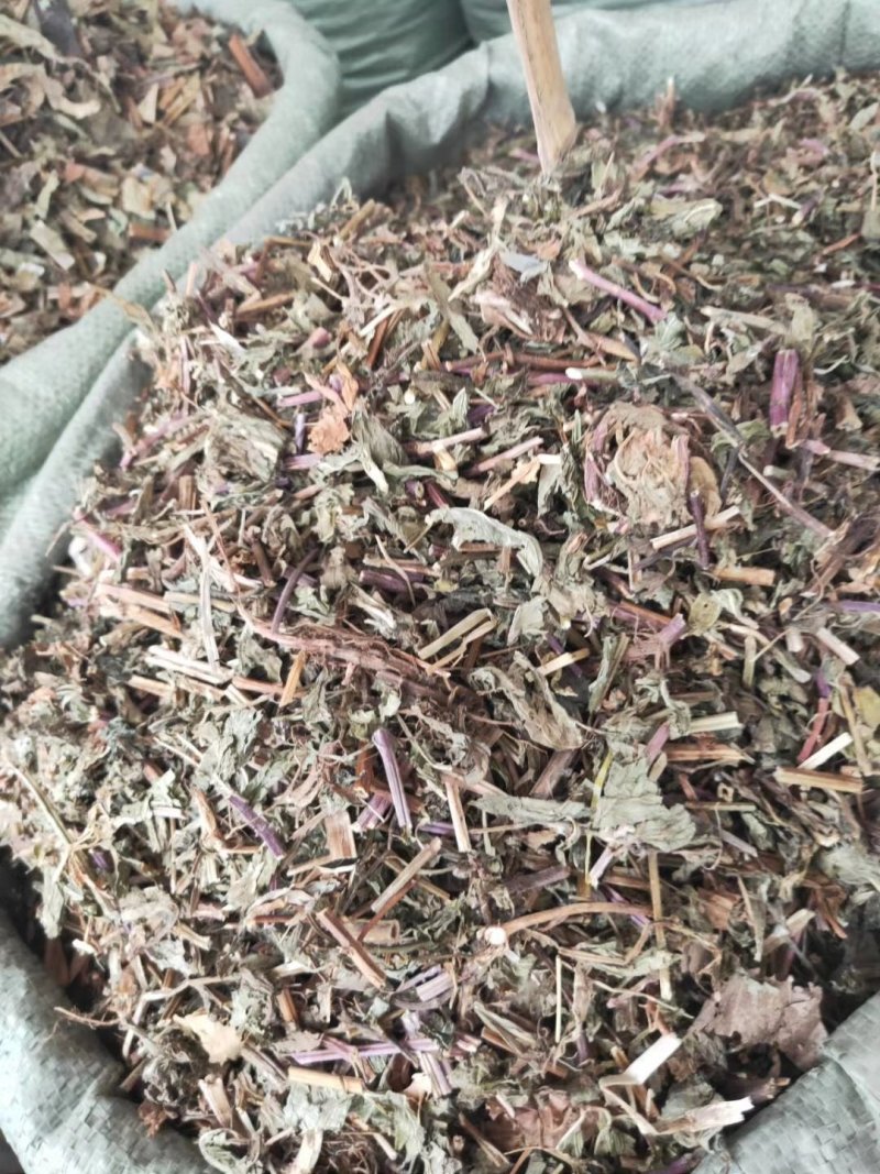 薄荷野生薄荷，量多优惠产地直销。。。。。。