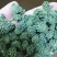 三七花云南文山特级正品田七花干三七花散装
