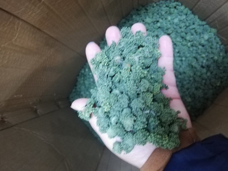 三七花云南文山特级正品田七花干三七花散装
