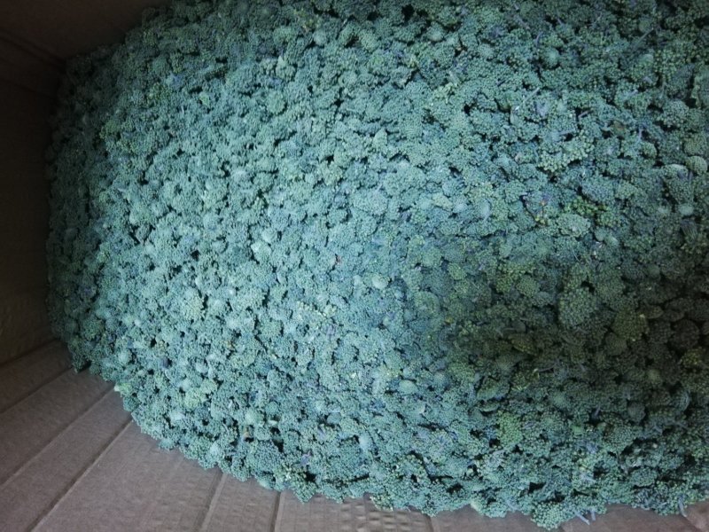 三七花云南文山特级正品田七花干三七花散装