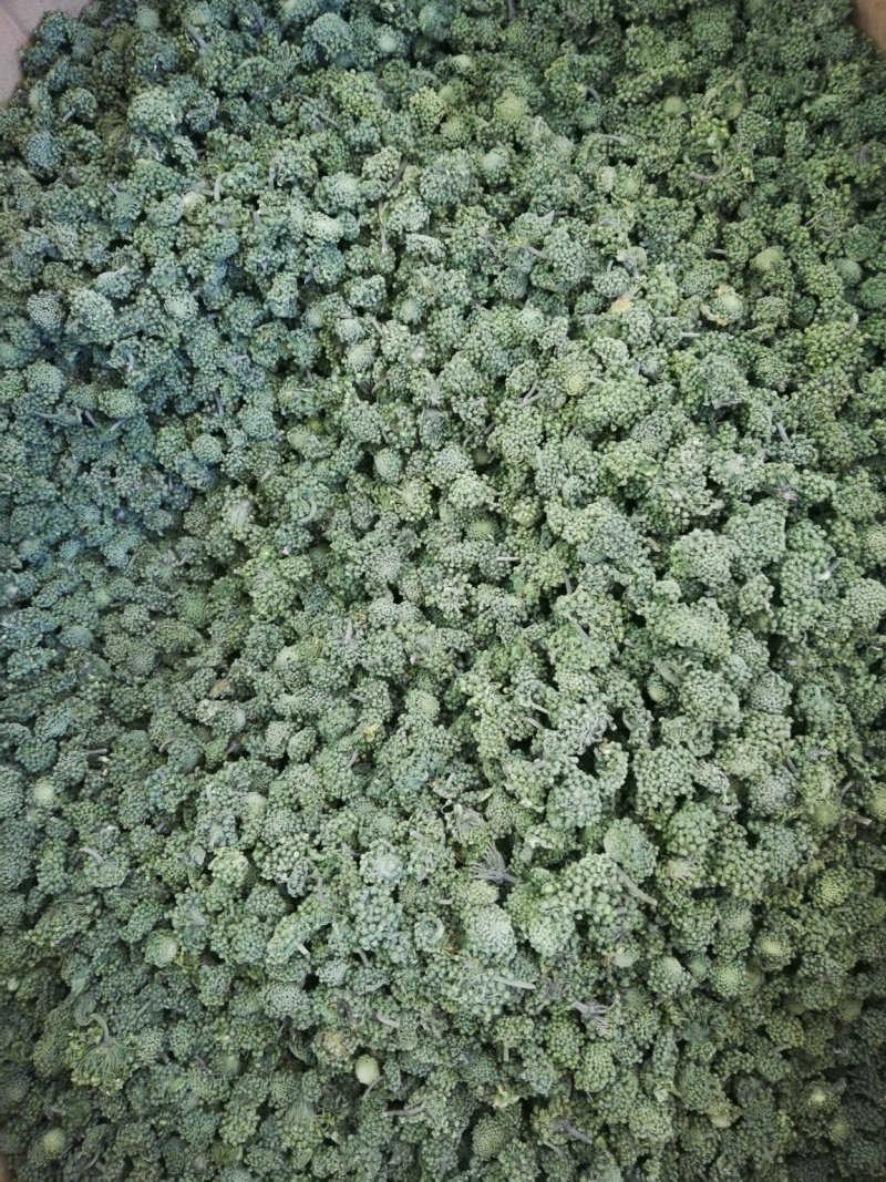 三七花云南文山特级正品田七花干三七花散装