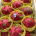 金都1号火龙果大（7两以上）