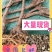 柴胡，野生柴胡，产地直供，无硫无添加，全国包邮。