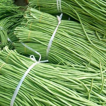 汉中长豆角，长豇豆50-70cm大量上市（泡菜厂可用）