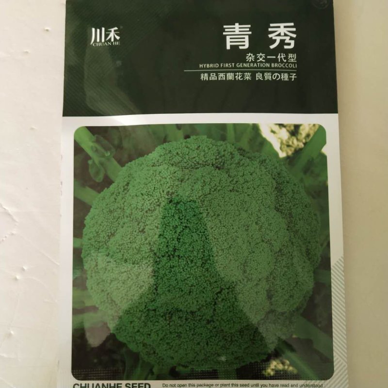 西兰花种子，青秀进口品绿剑三号秋季中早熟西兰花种子品种，