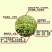 植可优含腐植酸水溶肥料叶面肥烟草西瓜南瓜果树专用叶面肥
