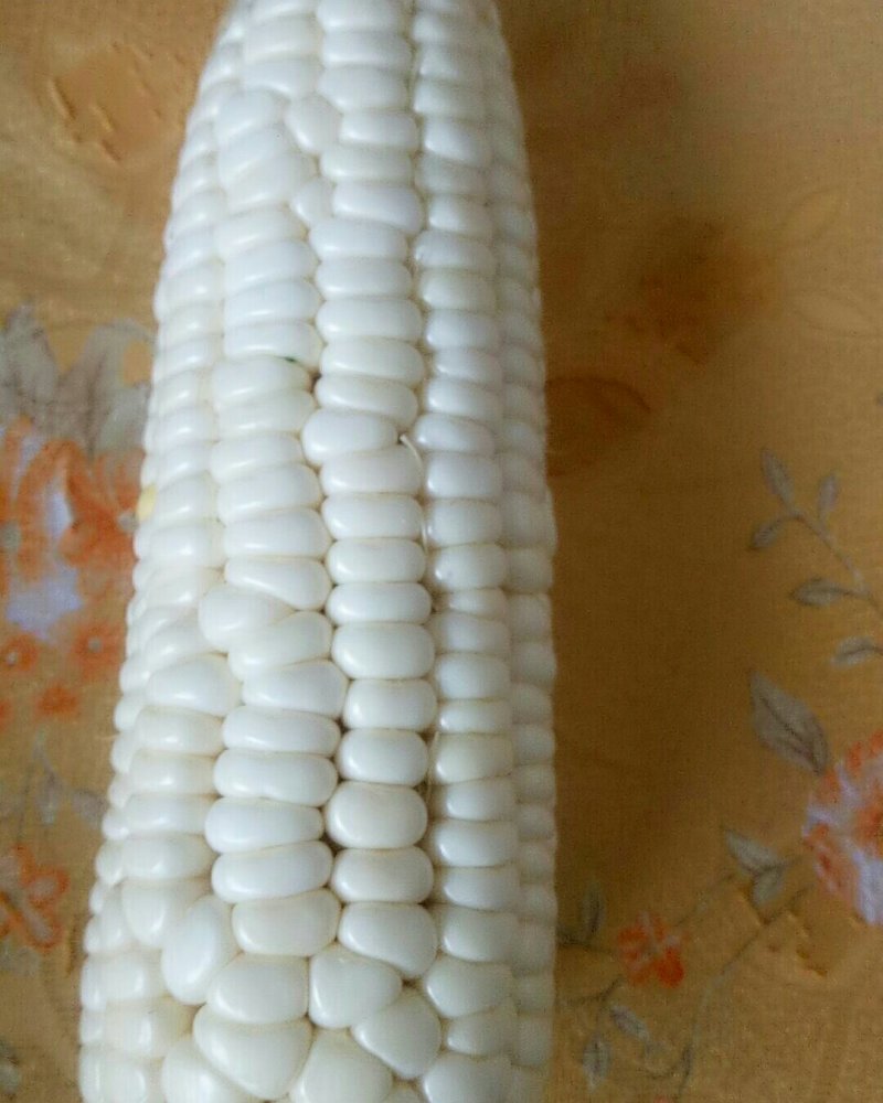 香糯白玉米热卖中