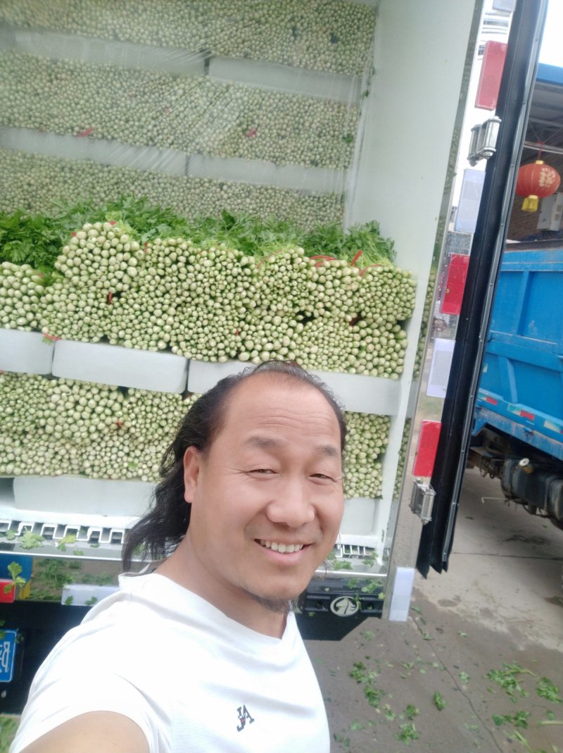 闫良芹菜，西安芹菜我是田重太！我在西安等你们的到来