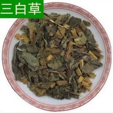三白草，常年批发供应中药材三白草