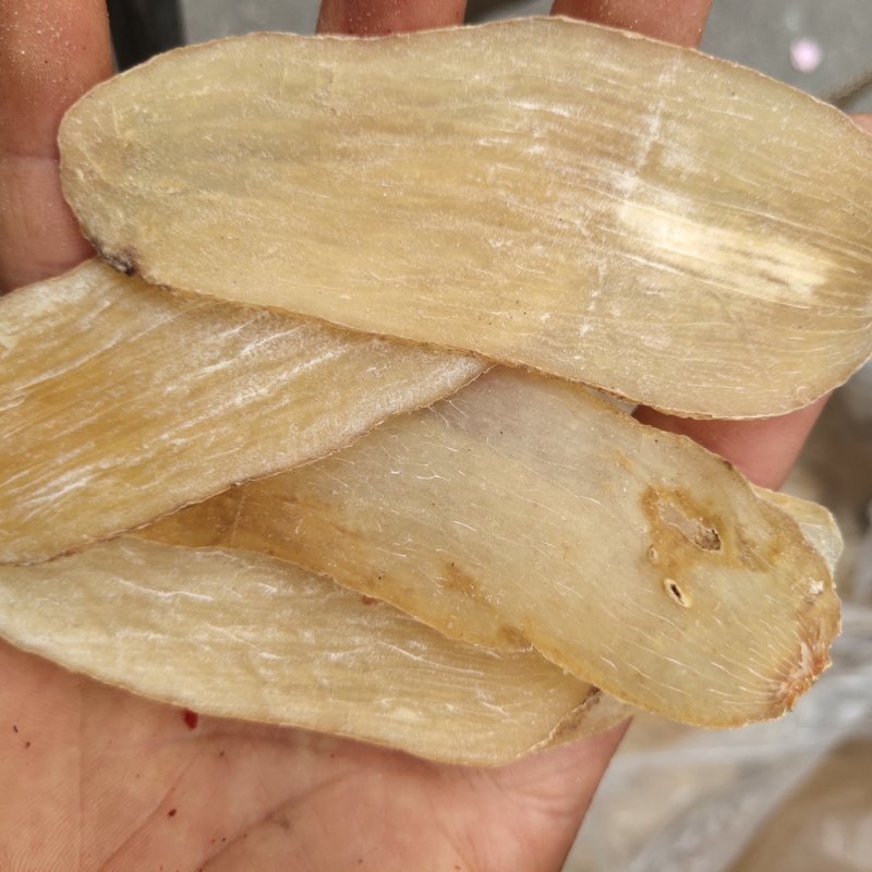 天麻云南天麻片玻璃片关书药业关书药业