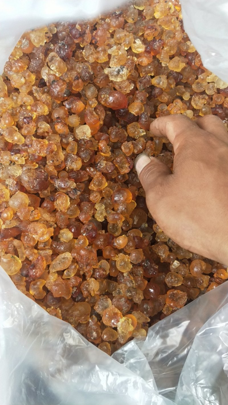 桃胶大量现货
