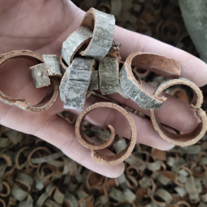 厚朴丝新货选关书药业批发各种规格中药材
