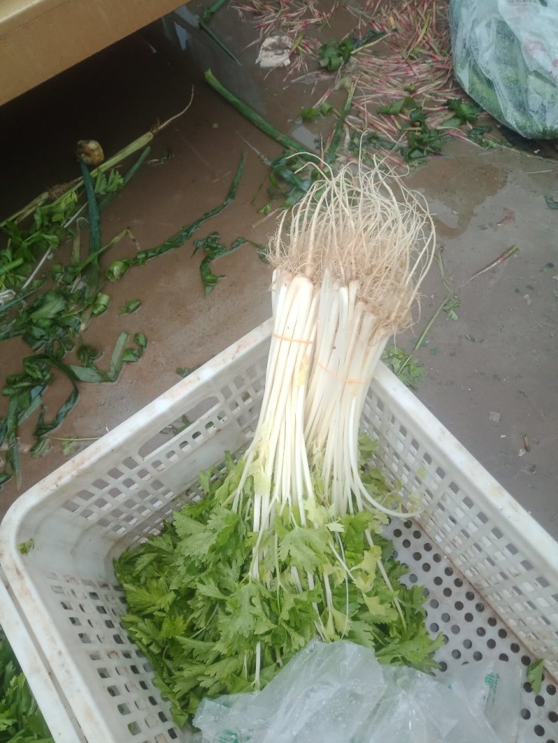 芹菜