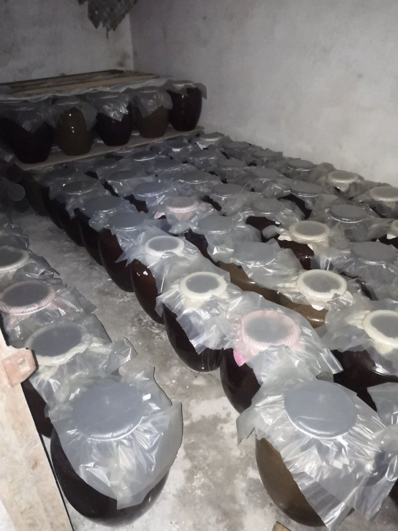 发酵一年以上酒饭才酿的陈酿米酒