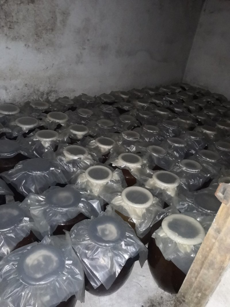 发酵一年以上酒饭才酿的陈酿米酒