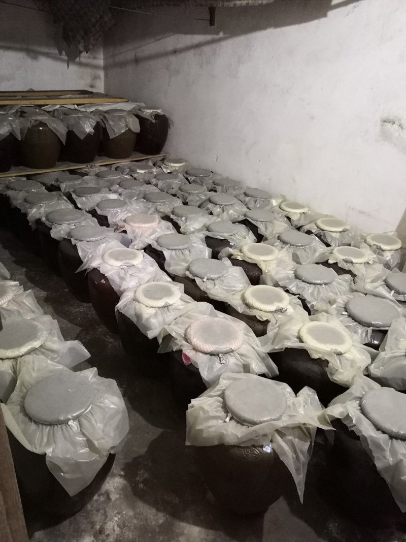 发酵一年以上酒饭才酿的陈酿米酒