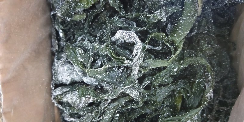 裙带菜【5斤/箱】盐渍裙带菜嫩海带19.9包邮