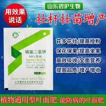 磷酸二氢钾微量元素叶面肥促生新根抗病抗逆增产