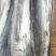 马鲛鱼鲅鱼海捕海鲜水产燕鲅鱼生鲜海鱼单冻无冰马鲛鱼马交鱼