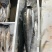 马鲛鱼鲅鱼海捕海鲜水产燕鲅鱼生鲜海鱼单冻无冰马鲛鱼马交鱼