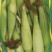 玉米/万糯2000玉米/鲜玉米白糯玉米全国货量优惠致电